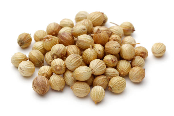 تصویر 1 از قیمت خرید تخم گشنیز مرغوب + فروش ویژه